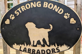 Strong Bond Labrador Retrievers
