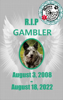 Gambler-RIP.png