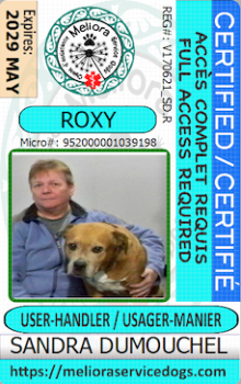 Roxy-dumouchel.png