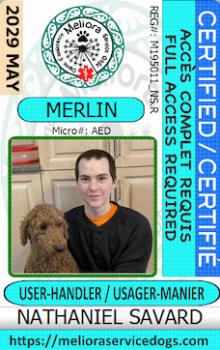 Merlin-savard.png