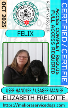 Felix-ferlotte.png